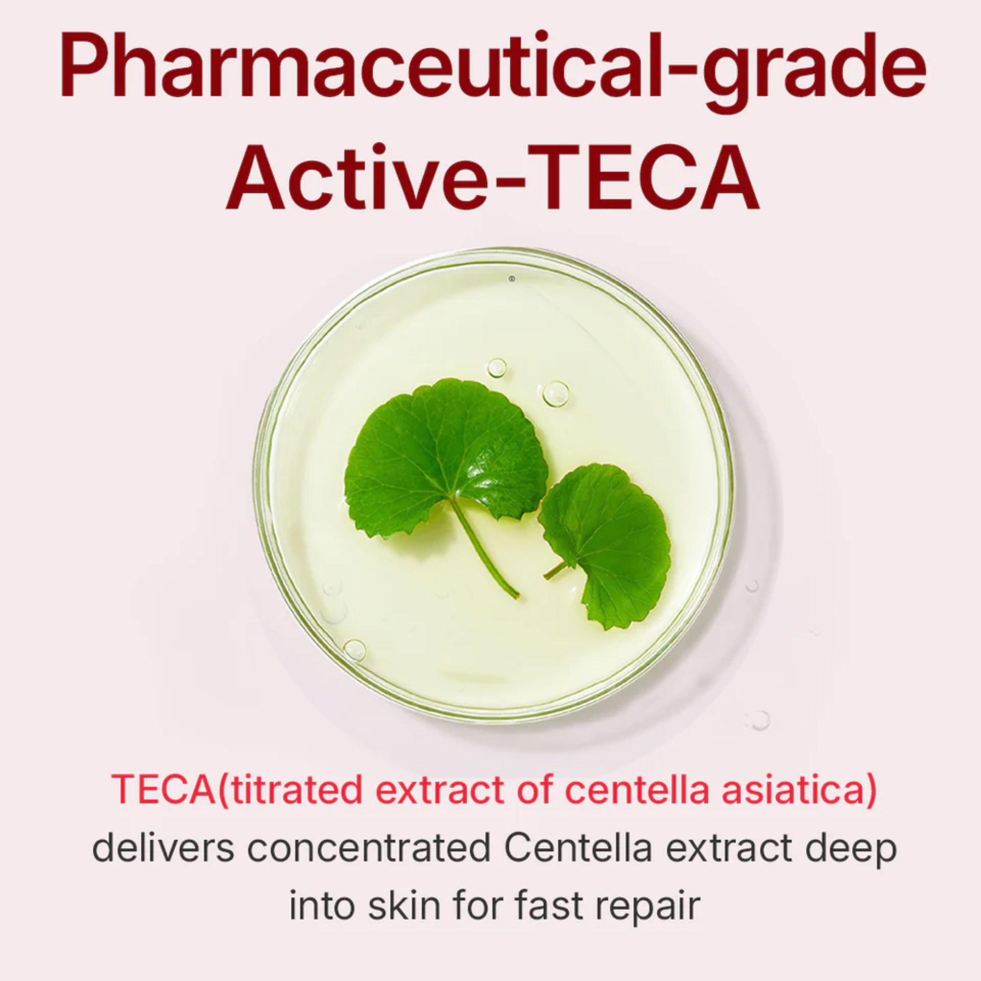 Petri dish with green leaves in a clear liquid, labeled 'Pharmaceutical-grade Active-TECA' on a white background.