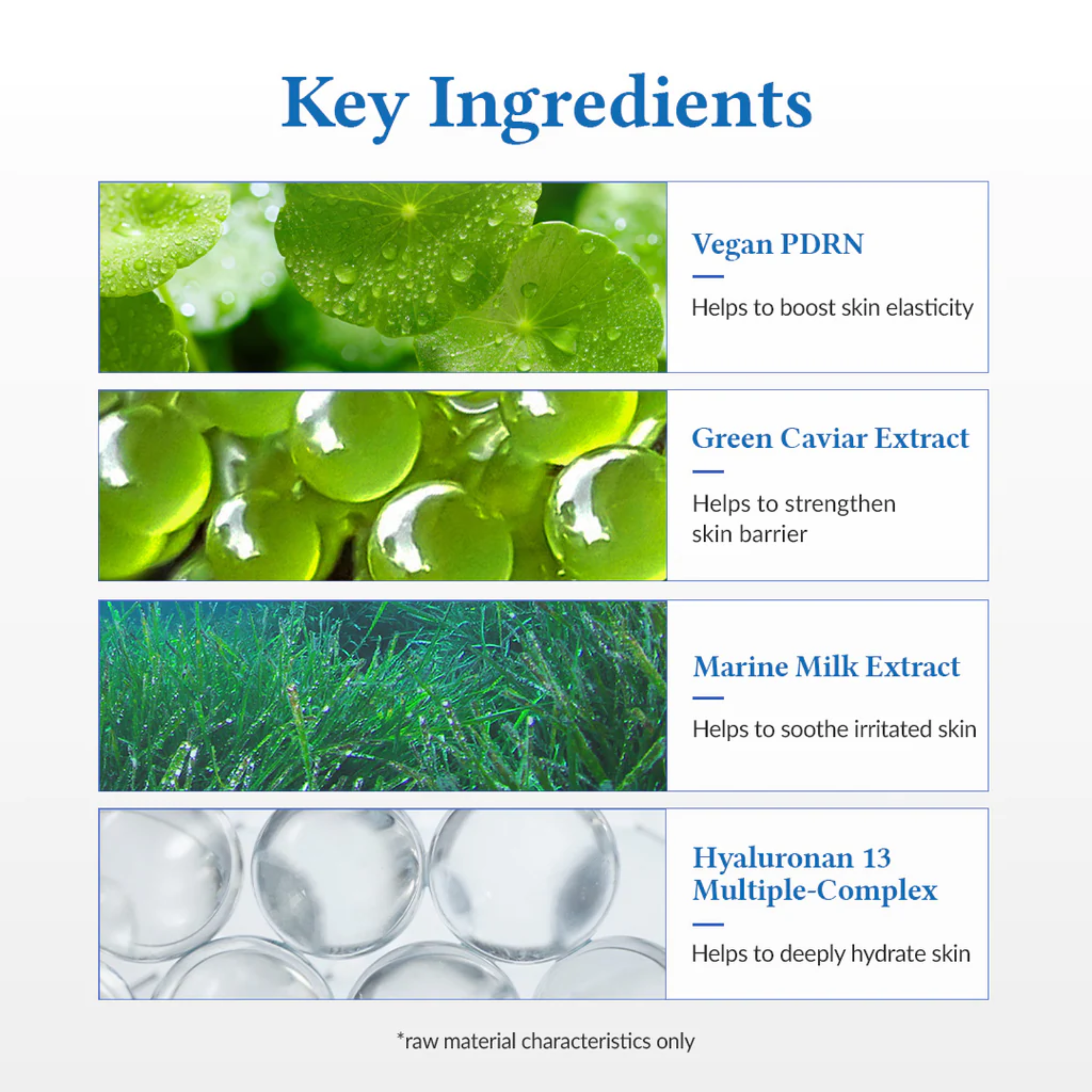 List of key ingredients with corresponding images and descriptions on a white background