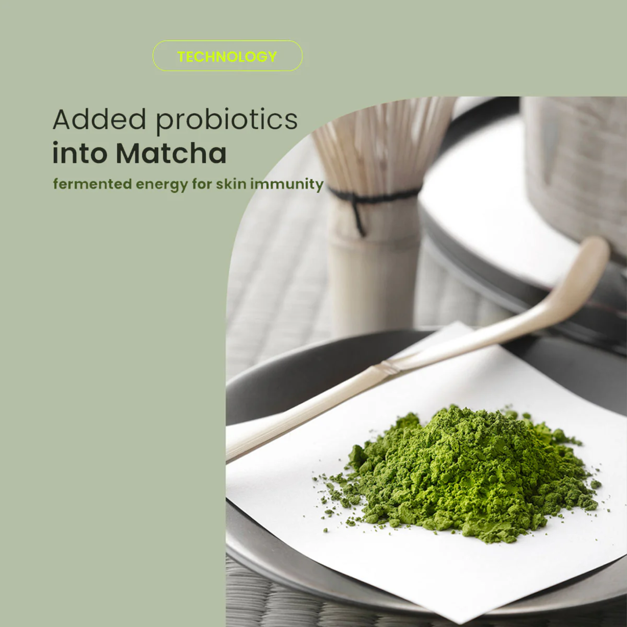Matcha green powder on a white plate with a whisk, against a light green background.
